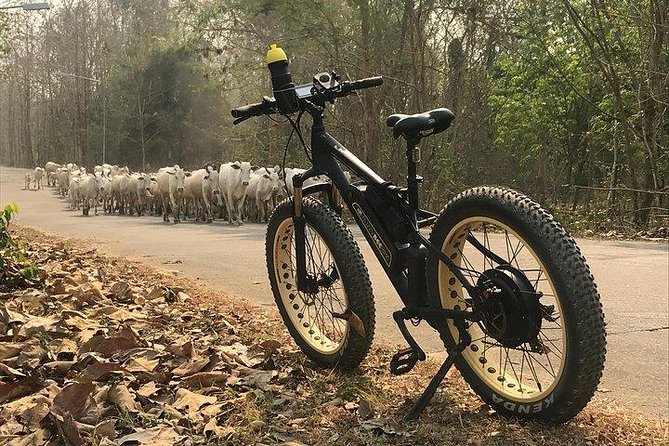 Half-day E-bike Nam Phrae (hilly, fully paved roads, GUIDED) - Lunch, snacks, and what is included