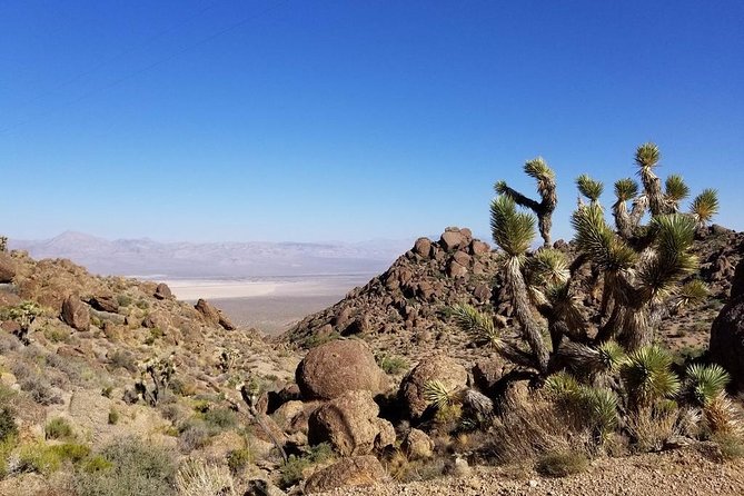 Half-Day Electric Bike Tour of Red Rock Canyon - Getting comfortable on the Specialized Turbo bike