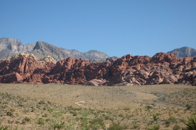Half-Day Electric Bike Tour of Red Rock Canyon - Morning versus afternoon departures