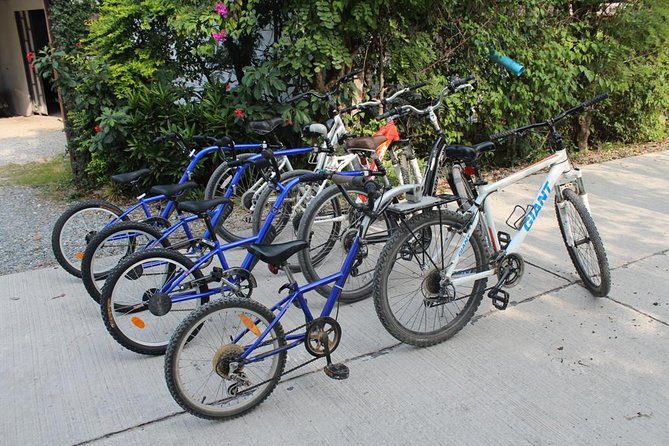 Half-Day Lanna Countryside Cycling Tour in Chiang Mai - Lunch, water, and a relaxed pace