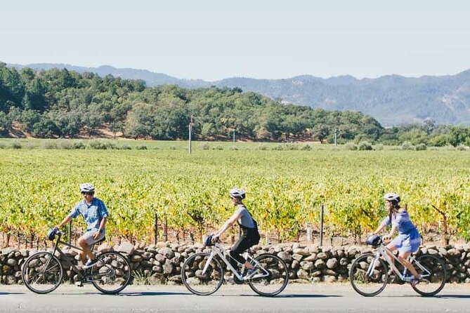Half-Day Napa Winery E-Bike Tour - The extra tasting fee changes the value calculation
