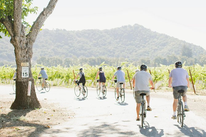 Half-Day Napa Winery E-Bike Tour - Food planning requires a little care