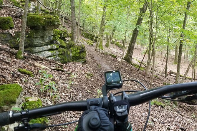 Half-Day Private Guided Mountain Bike Tour in Bentonville - How the private format changes the experience