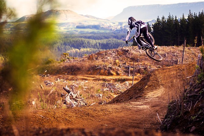 Half-Day Self-Guided Mountain Bike Journey through Whakarewarewa Redwood Forest - Key points for your four-hour ride