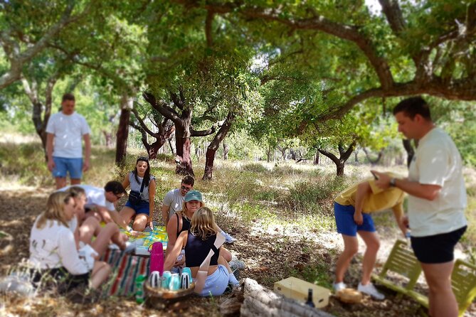 Half-Day Small-Group E-Bike Tour of Rural Algarve with Lunch - São Bartolomeu de Messines and the Best Picnic View