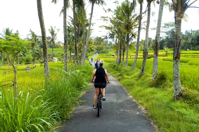 Half-Day Ubud Electric Cycling Tour to Tirta Empul Water Temple - Starting near Laplapan at 8:00 am