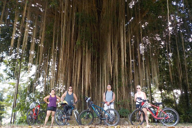 Half-Day Ubud Electric Cycling Tour to Tirta Empul Water Temple - The guides make the difference