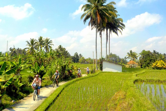 Half-Day Ubud Electric Cycling Tour to Tirta Empul Water Temple - Lunch at Pangkon Bali Resto