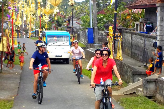 Half-Day Ubud Electric Cycling Tour to Tirta Empul Water Temple - Who should book this ride?
