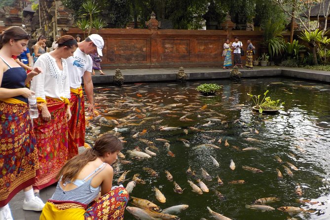 Half-Day Ubud Electric Cycling Tour to Tirta Empul Water Temple - Riding through rice fields and Balinese villages