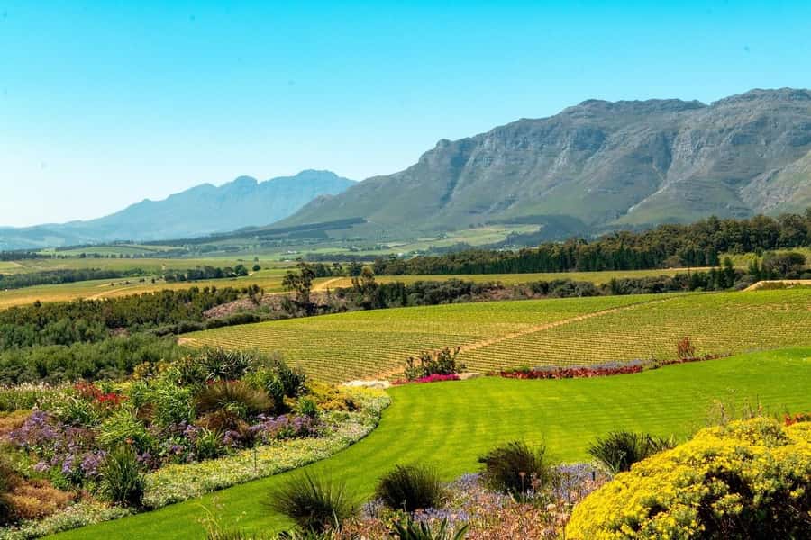 Half-Day Winelands E-Bike Tour with Wine Tasting - Why an e-bike makes the Winelands more accessible