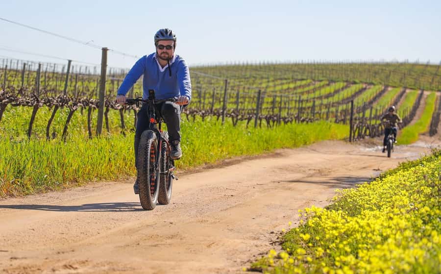 Half-Day Winelands E-Bike Tour with Wine Tasting - Safety briefing, bike fitting, and first instructions