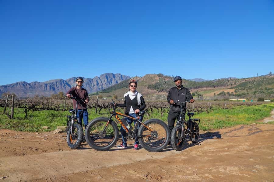 Half-Day Winelands E-Bike Tour with Wine Tasting - Who will enjoy this most