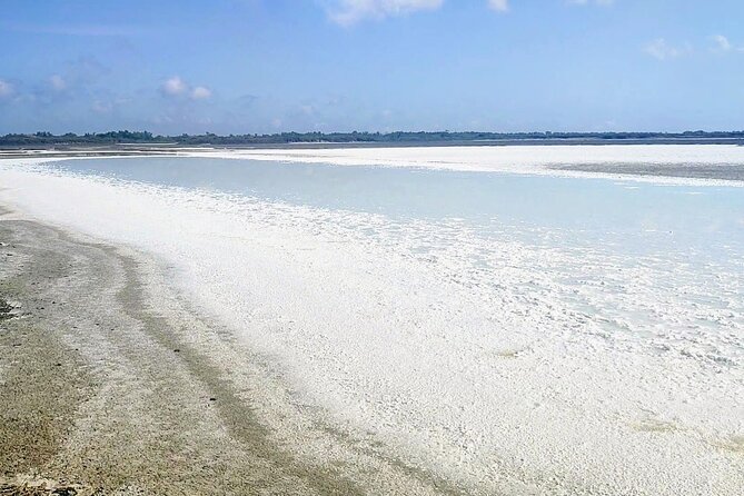 Happy tour camargue an immersion by bike and scooter E - Practical details that affect your decision