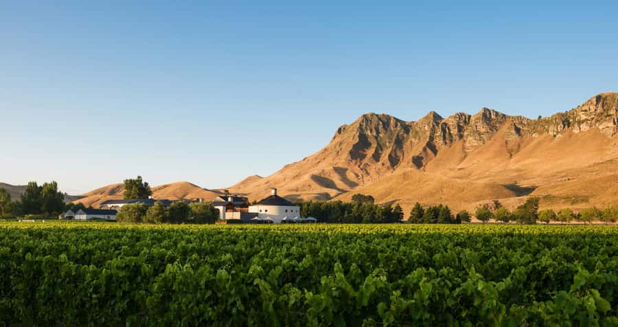 Hawke's Bay: Self Guided Coast to Vineyards Cycle Tour - Black Barn, your final winery and shuttle point