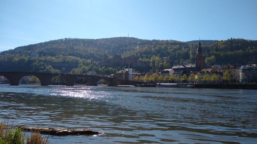 Heidelberg: Guided Bike Tour - Why a bike is a smart way to see Heidelberg