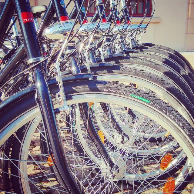 Heidelberg: Guided Bike Tour - Who gets the best value from $50