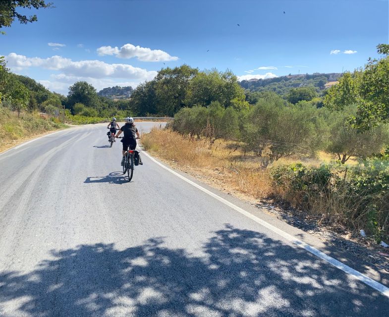 Heraklion: Wine Tasting E-Bike Tour - Dafnes, Crete’s Wine Center