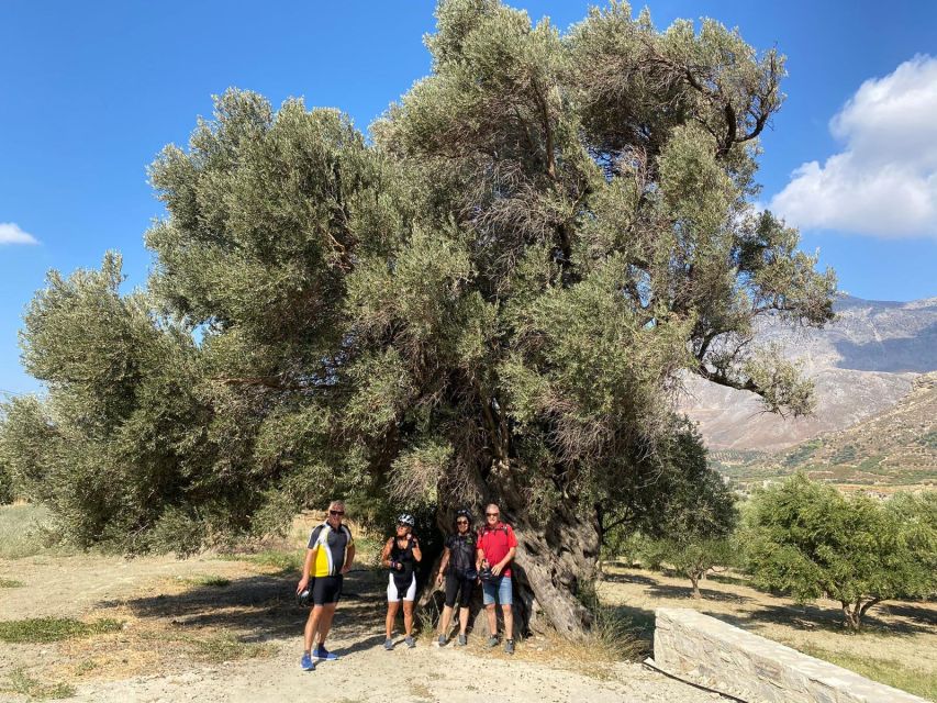 Heraklion: Wine Tasting E-Bike Tour - What Aris Adds to the Ride