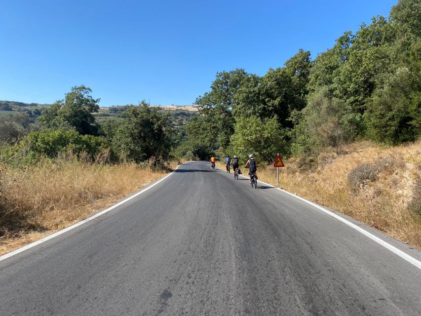 Heraklion: Wine Tasting E-Bike Tour - Rain, Mud, and Choosing the Right Day