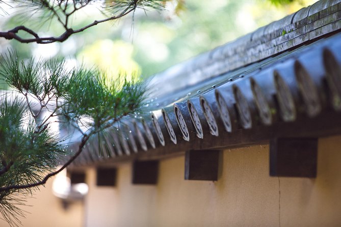 Hidden Kyoto E-Biking tour - Why cycling works so well in northern Kyoto