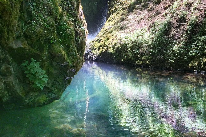 Hike and Bike Tour to Columbia River Gorge Waterfalls - Cycling on a road shared with cars