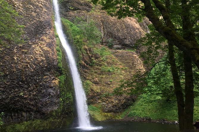 Hike and Bike Tour to Columbia River Gorge Waterfalls - Latourell Falls and a walk through the forest