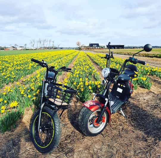 Hillegom: E-Scooter or E-Bike Rental in the Bulb Region - Getting set up with the right vehicle