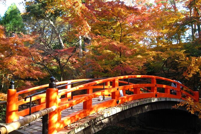 Historical Kyoto E-Bike Tour - Lunch, local food, and the cash question