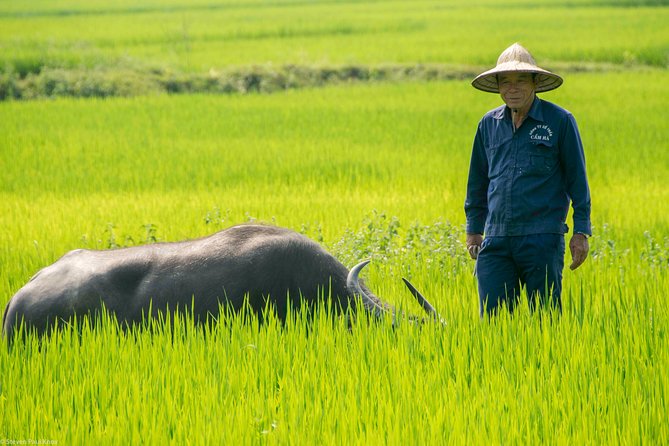 HOI AN Biking River Islands, Villages, Local Crafts PRIVATE TOUR - A Vietnamese coffee break after the village riding