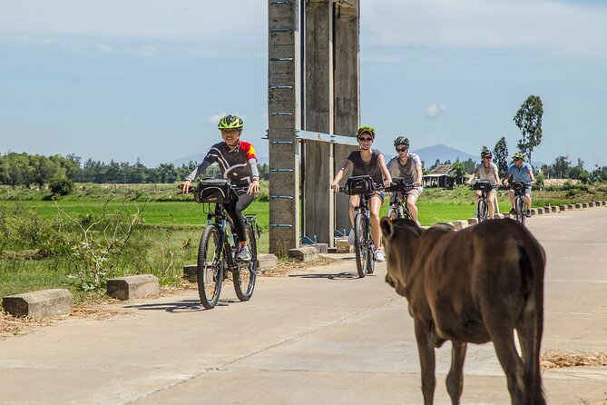 Hoi An: Morning Countryside Tour by Bike - Leaving Hoi An by bike