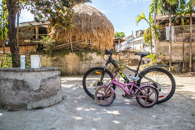 Hoi An: Morning Countryside Tour by Bike - Is the $29 price fair?