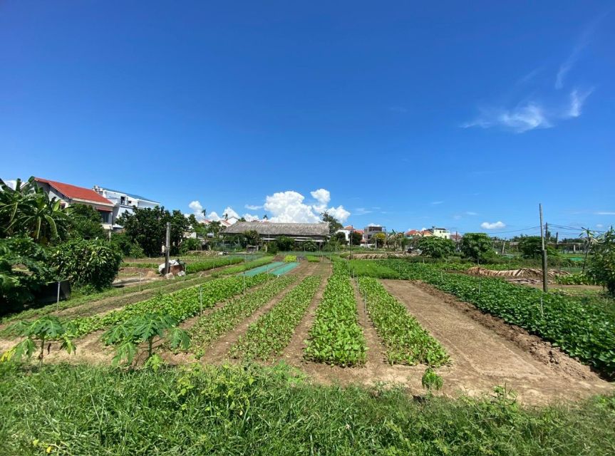 Hoi An: Rural Cycling Tour to Village with Basket Boat Ride - Tra Que Vegetable Village: The Most Hands-On Stop
