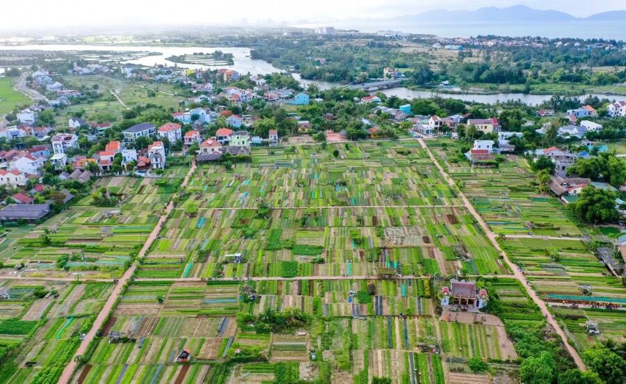 Hoi An: Rural Cycling Tour to Village with Basket Boat Ride - Is $27 a Fair Price?