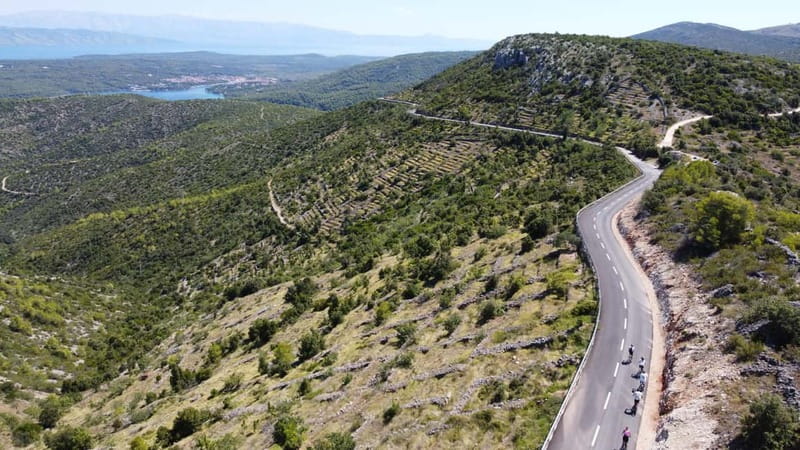 Hvar Island E-Bike Tour with Wine Tasting and Starters - Lavender fields and Hvar’s high views