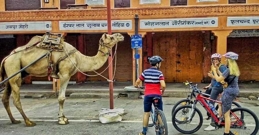 Jaipur: 3-Hour Morning Bike Tour of Jaipur Old City - Govind Dev Ji Temple and morning worship