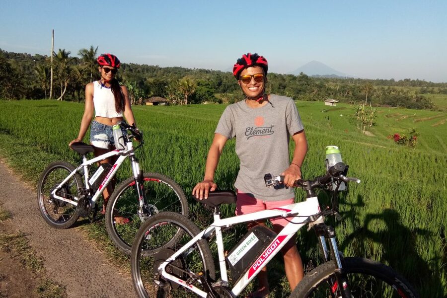 Jatiluwih (UNESCO Site) 2-Hour E-Bike Cycling Tour - Booking advice for a smoother outing