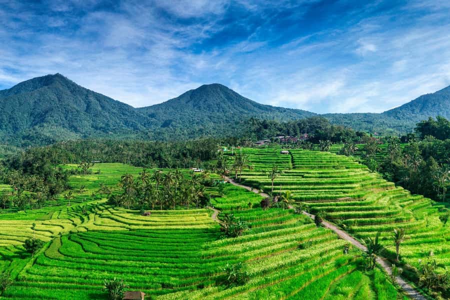 Jatiluwih (UNESCO Site) 2-Hour E-Bike Cycling Tour - Entering Jatiluwih’s 300 hectares of rice terraces
