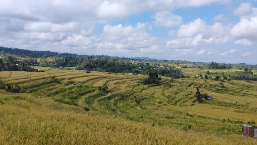 Jatiluwih (UNESCO Site) 2-Hour E-Bike Cycling Tour - How much cycling will you really get?