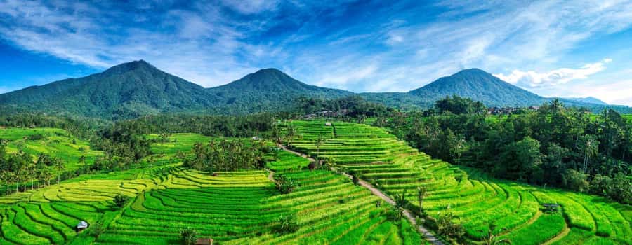 Jatiluwih (UNESCO Site) 2-Hour E-Bike Cycling Tour - Safety, helmets, and bike condition