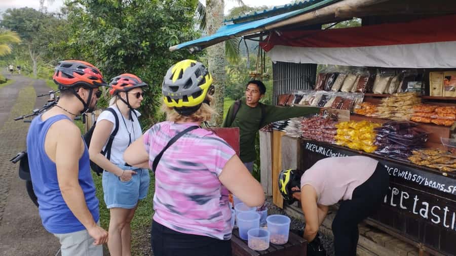 Jatiluwih (UNESCO Site) 2-Hour E-Bike Cycling Tour - The road from Batukaru to Jatiluwih