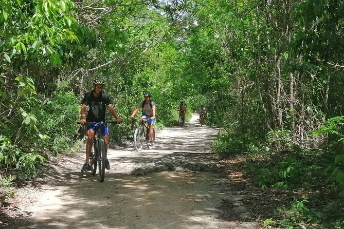 Jungle Bike Tour from Playa del Carmen with Bath in a Cenote - Riding 16 kilometers through the jungle