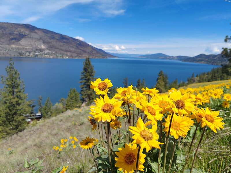 Kelowna: E-Bike Rental with In-App Navigation Guide - The equipment that makes a difference