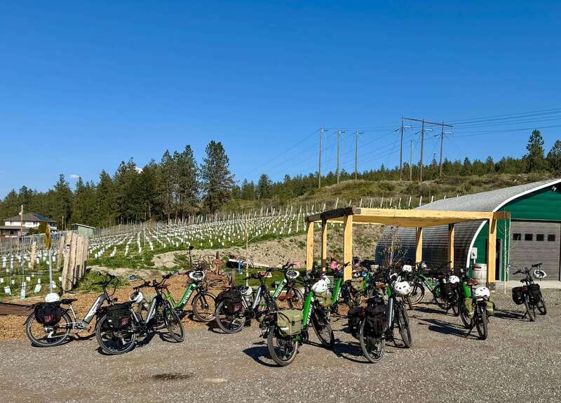 Kelowna: Wine Tasting by E-bike, Smartphone Guide & Lunch - What this Kelowna e-bike tour is really like
