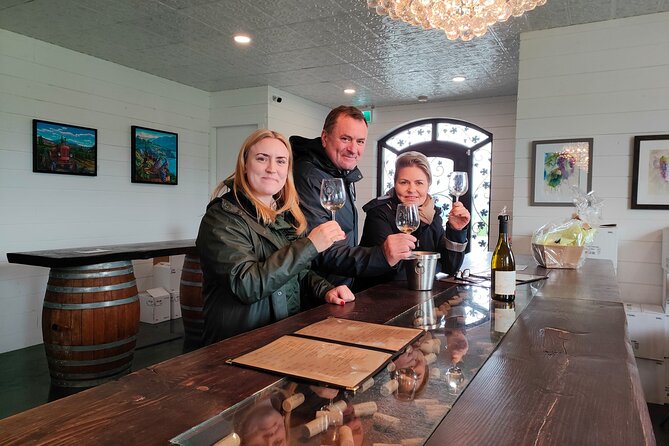 Kelowna Wine Tour by E-bike, Okanagan Valley Views and Lunch - E-bikes, panniers, and practical comfort