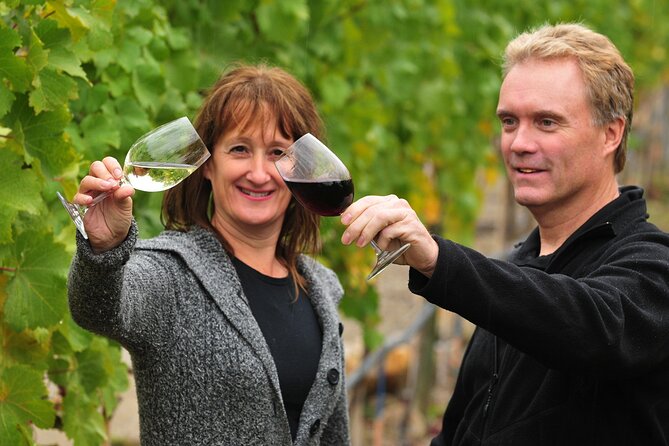 Kelowna Wine Tour by E-bike, Okanagan Valley Views and Lunch - Hidden Vines Family Estate Winery