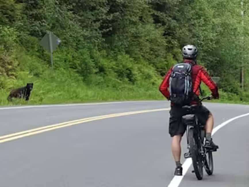 Ketchikan: E-Bike and Hike Tour - Why this tour works well in Ketchikan