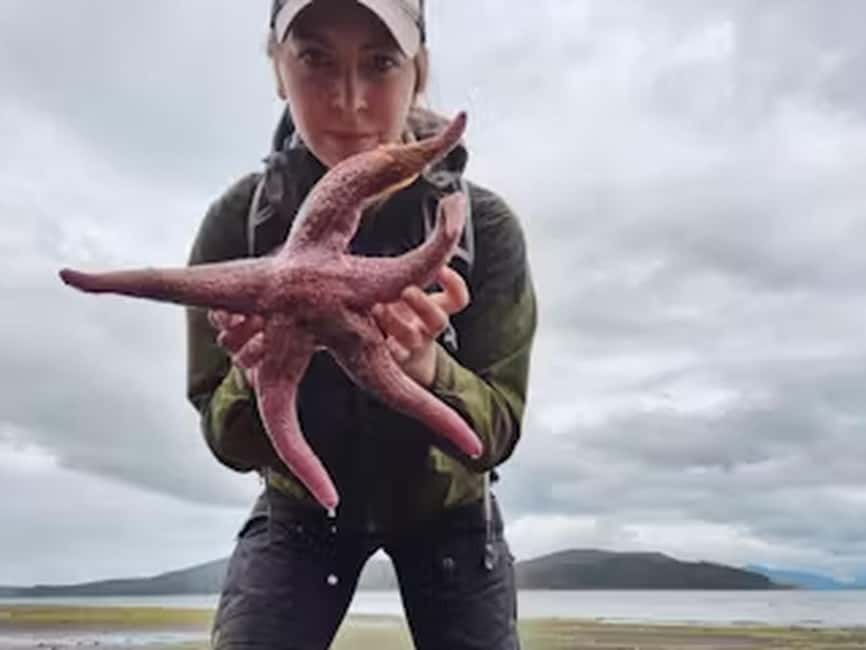 Ketchikan: E-Bike and Hike Tour - Waterfall, shoreline, and possible wildlife
