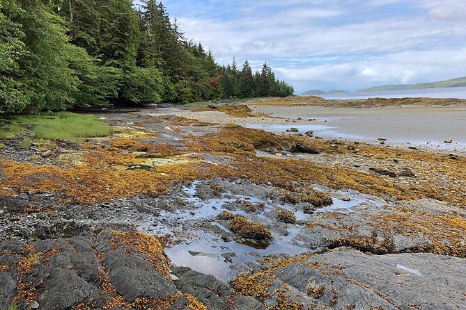 Ketchikan Electric Bike and Rain Forest Hike Ecotour - Walking beneath Tongass National Forest