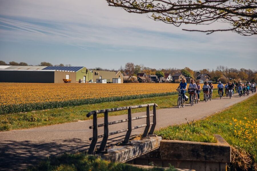 Keukenhof: Flower Fields Small-Group Cultural Bike Tour - Key details worth knowing
